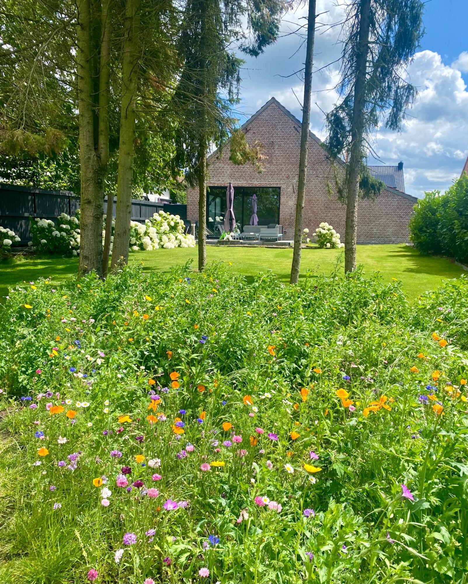 Hoeve De Kleinheide Dessel Exterior foto