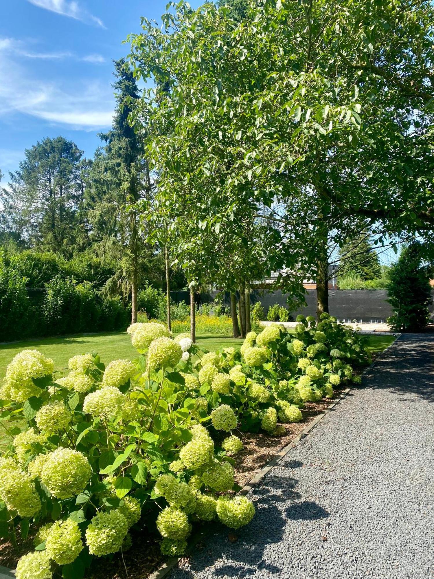 Hoeve De Kleinheide Dessel Exterior foto